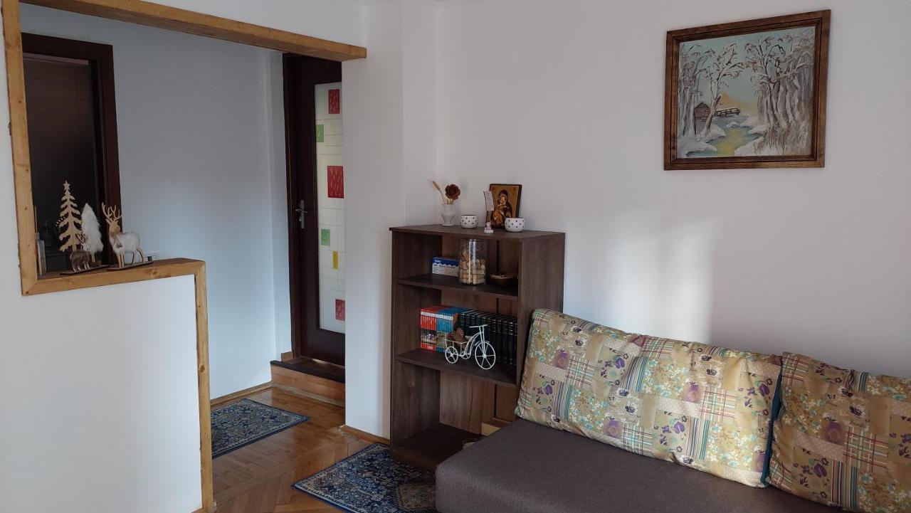 Villa Casa Tex à Buşteni Extérieur photo
