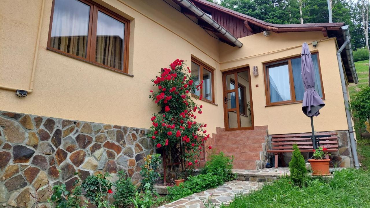 Villa Casa Tex à Buşteni Extérieur photo